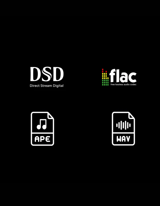 DMP K7 PRO 场景图 音频格式 半图