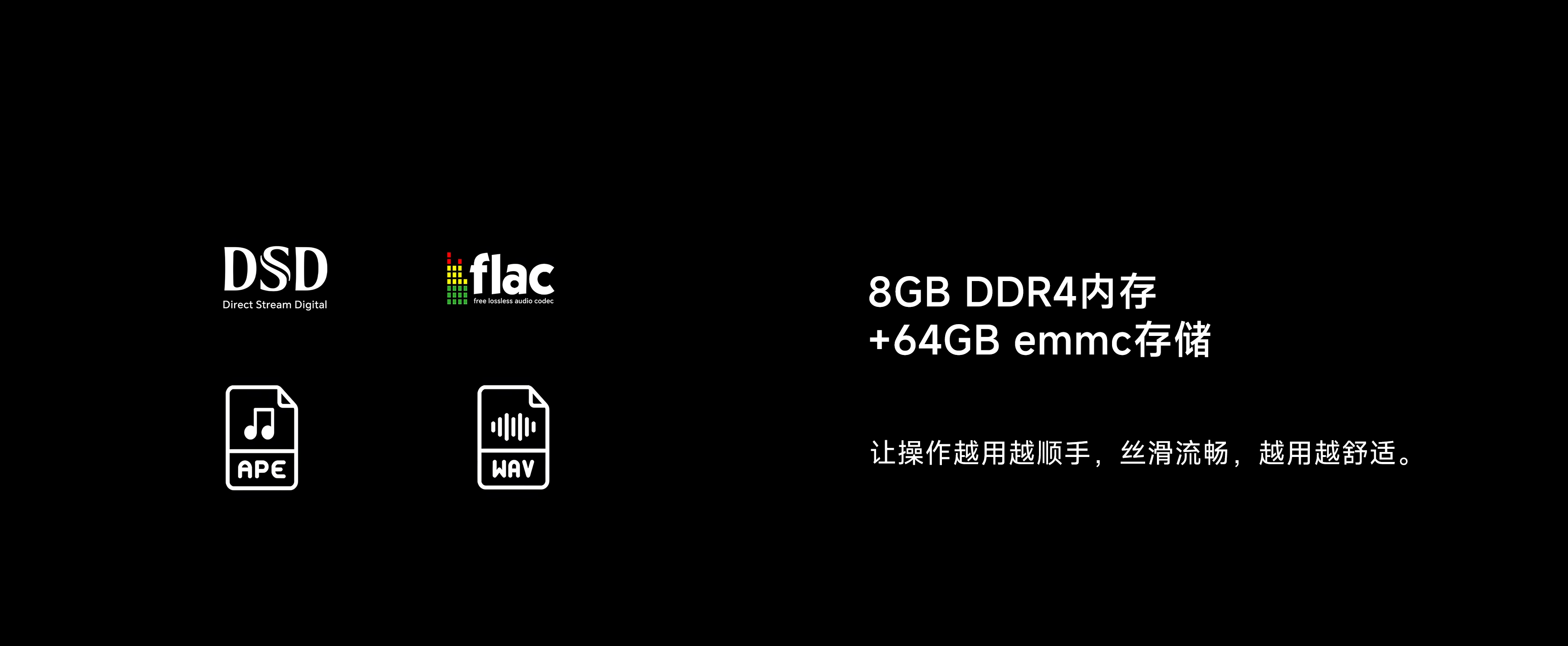 DSD FLAC APE and WAV lossless audio formats