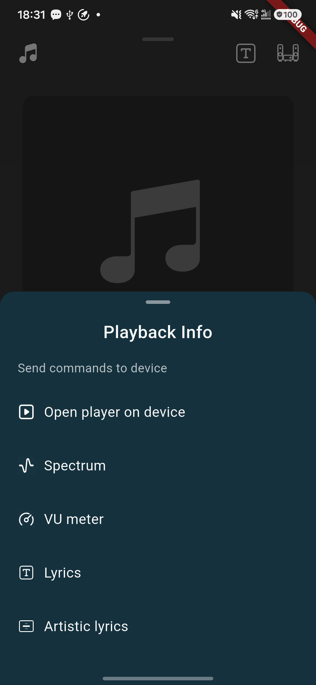 Kaiboer Home Playback Info panel with device-control commands.