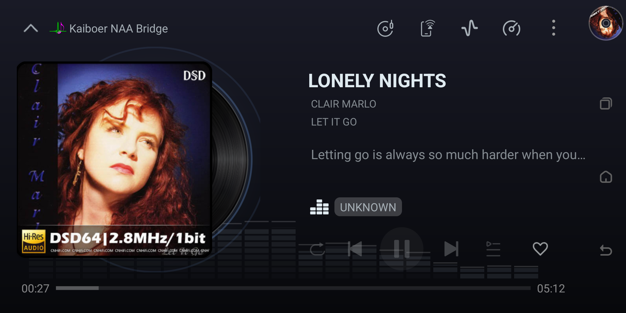Kaiboer NAA Bridge playback screen during a streamed track.