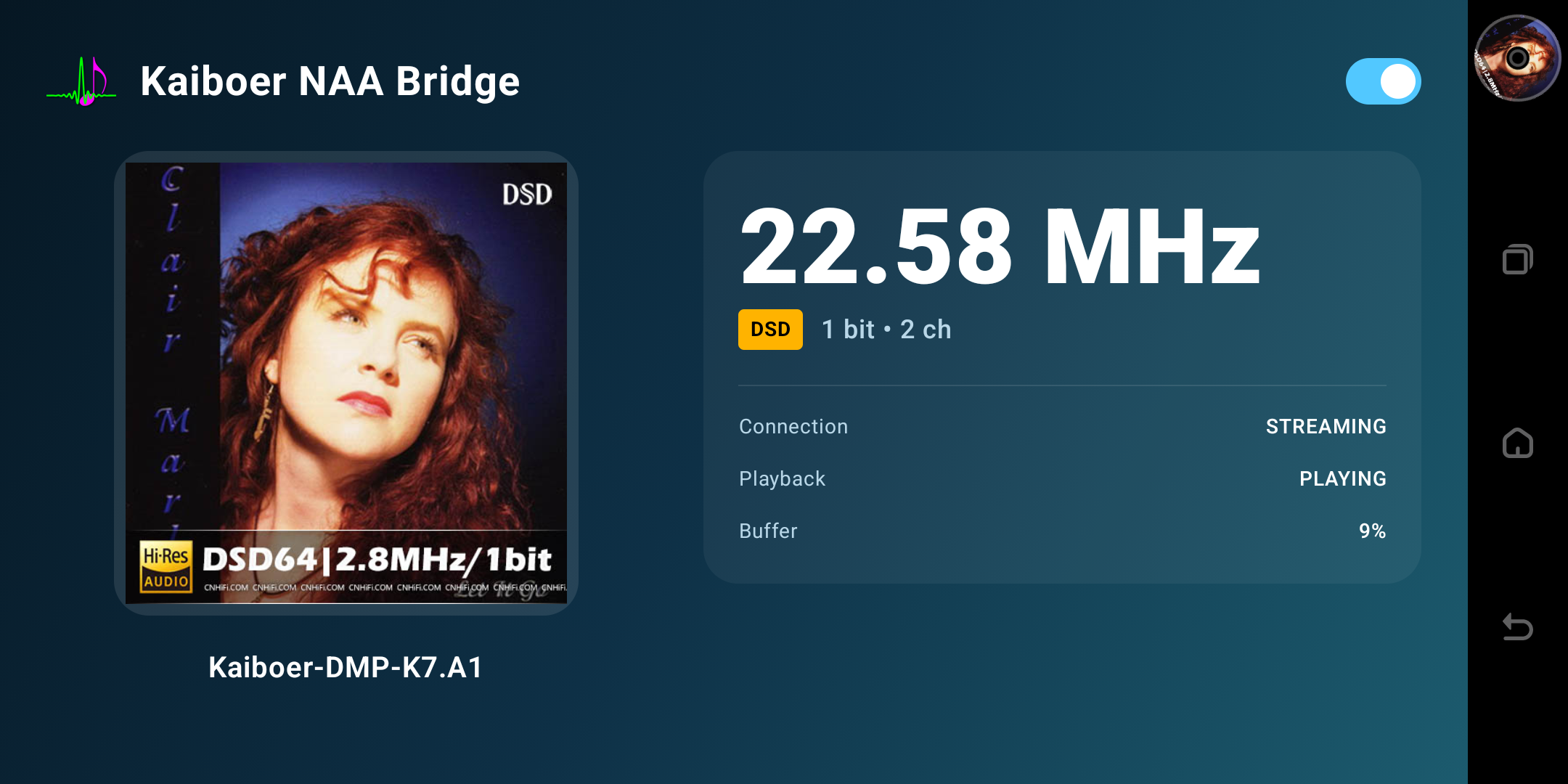Kaiboer NAA Bridge screen showing a DSD stream with STREAMING and PLAYING status.