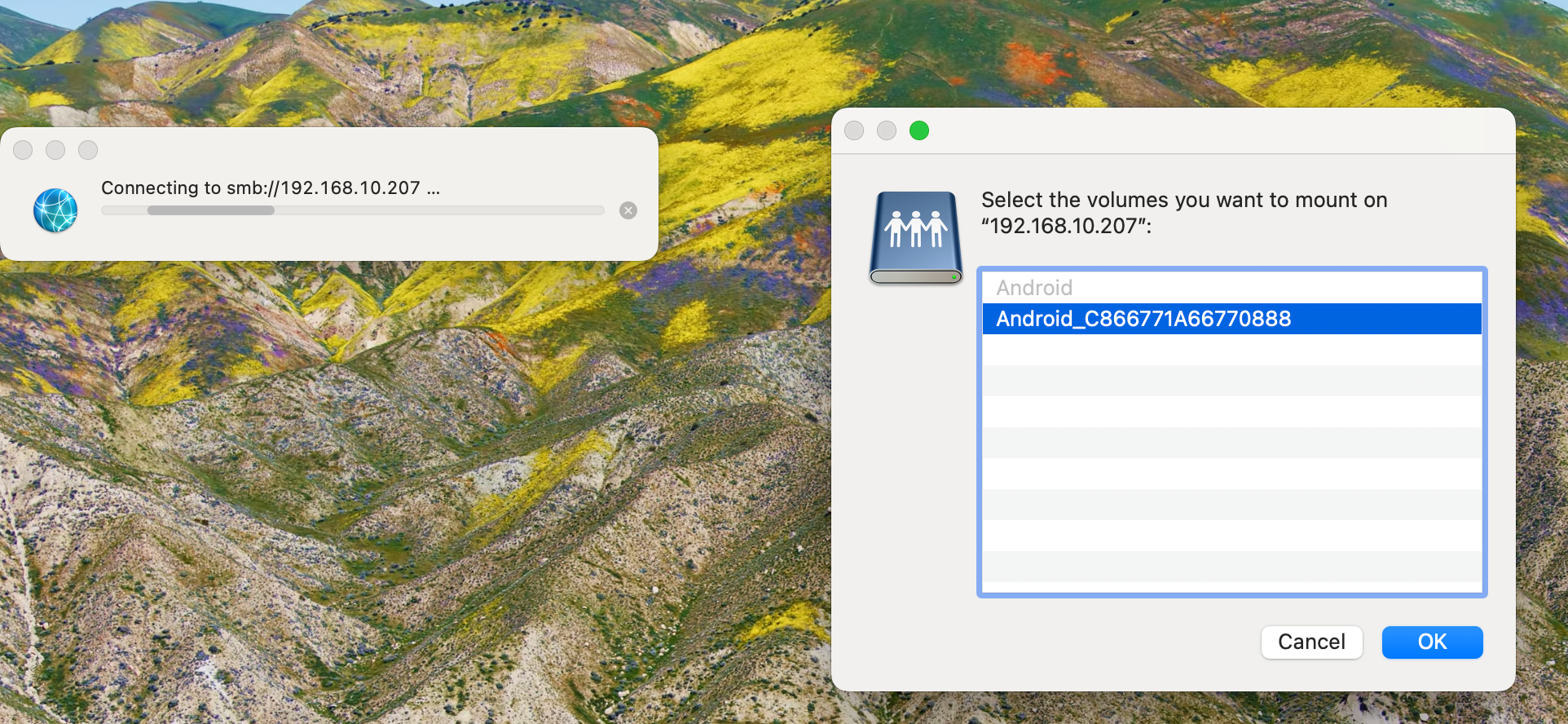 macOS SMB mount dialog listing built-in and external storage volumes.